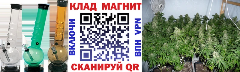 Наркотические вещества Электросталь Каннабис  Меф мяу мяу  Кокаин  Амфетамин  ГАШ 
