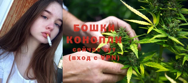 Альфа ПВП Бугульма