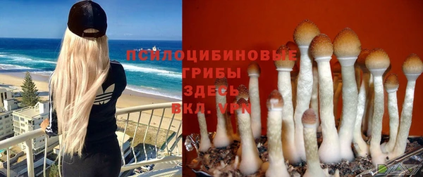 первитин Бородино