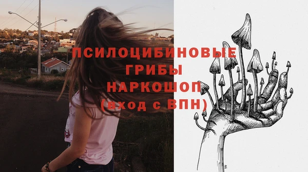 Альфа ПВП Бугульма